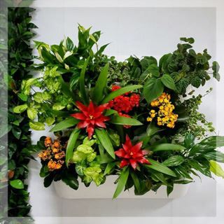 Фитомодули