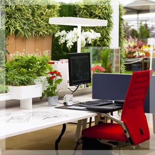 Озеленение офисов