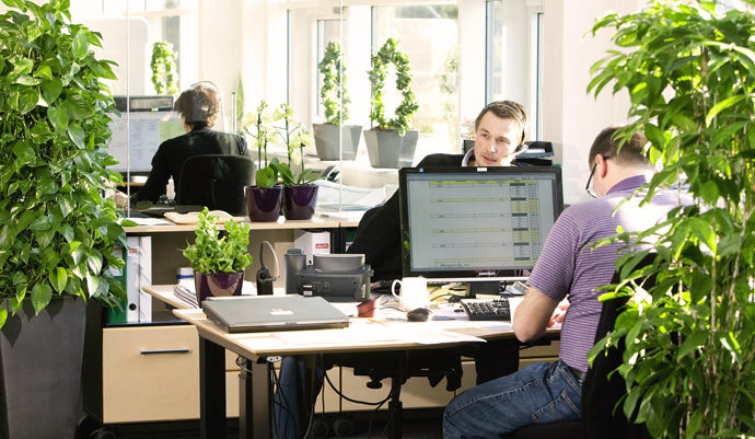 Услуги озеленения Москва