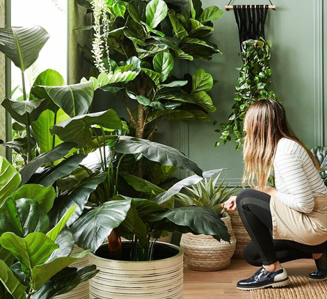 озеленение для ресторана