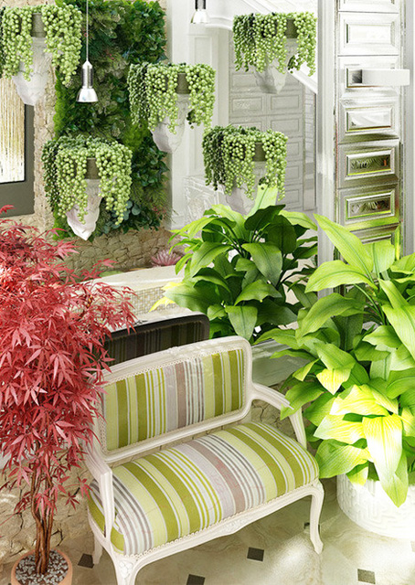 озеленение квартиры, дома, комнаты