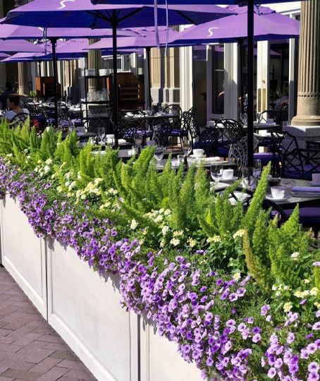 озеленение кафе и ресторанов