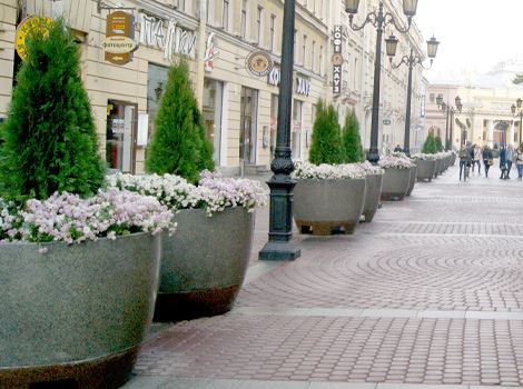 озеленение кафе и ресторанов