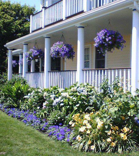 растения для кафе и ресторанов