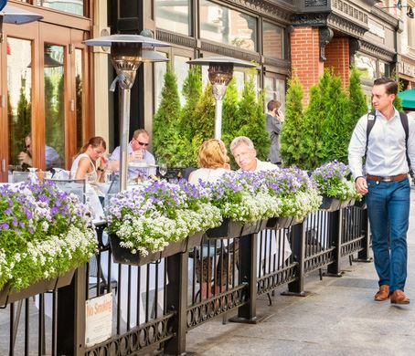 растения для кафе и ресторанов