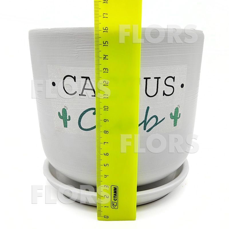 Горшок керамика Кактус клуб Цилиндр