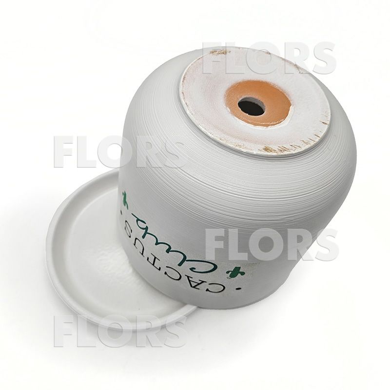 Горшок керамика Кактус клуб Цилиндр