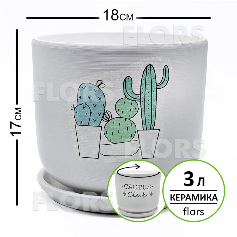 Горшок керамика Кактус клуб Цилиндр