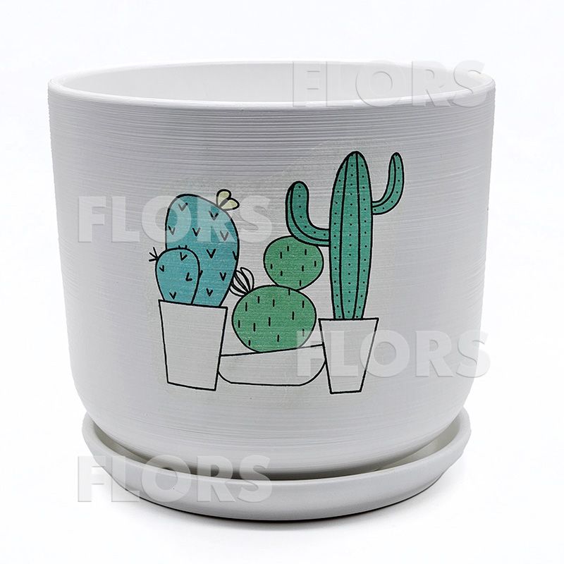 Горшок керамика Кактус клуб Цилиндр