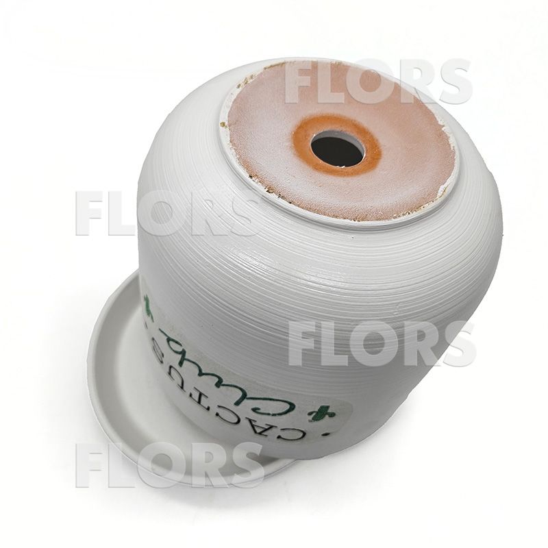 Горшок керамика Кактус клуб Цилиндр