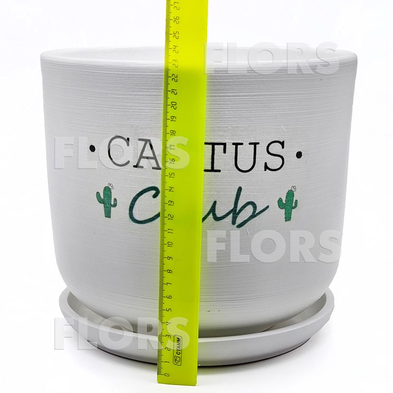 Горшок керамика Кактус клуб Цилиндр