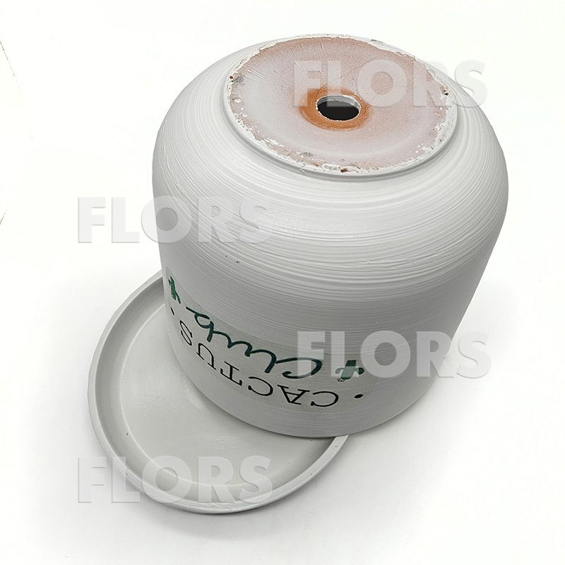 Горшок керамика Кактус клуб Цилиндр