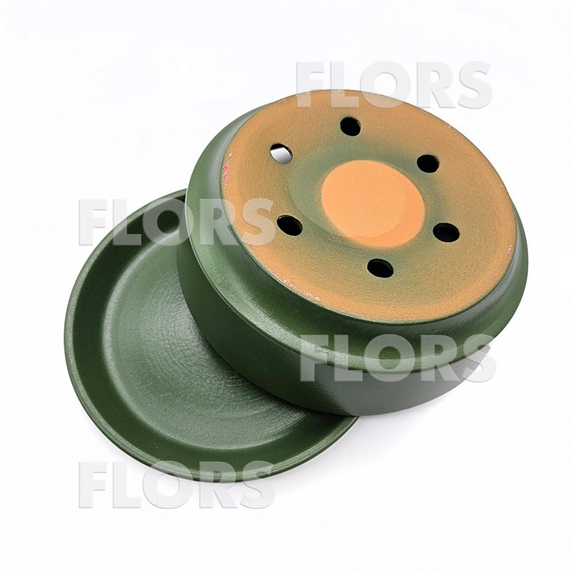 Бонсайница Колор зеленый