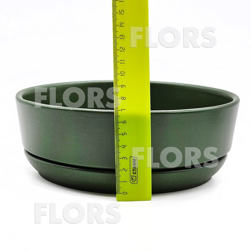 Бонсайница Колор зеленый