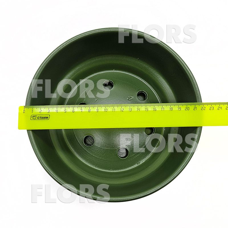 Бонсайница Колор зеленый