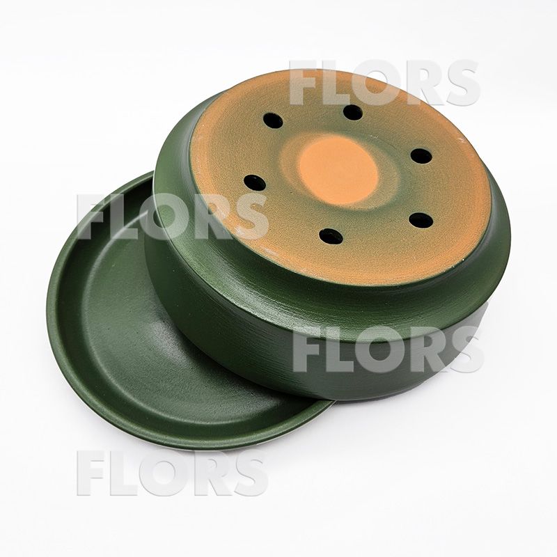 Бонсайница Колор зеленый