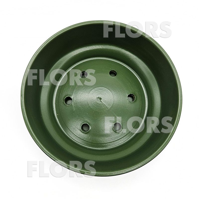 Бонсайница Колор зеленый