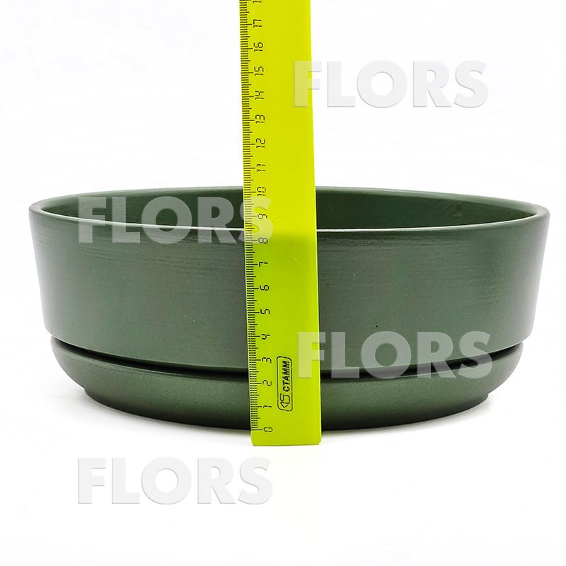 Бонсайница Колор зеленый