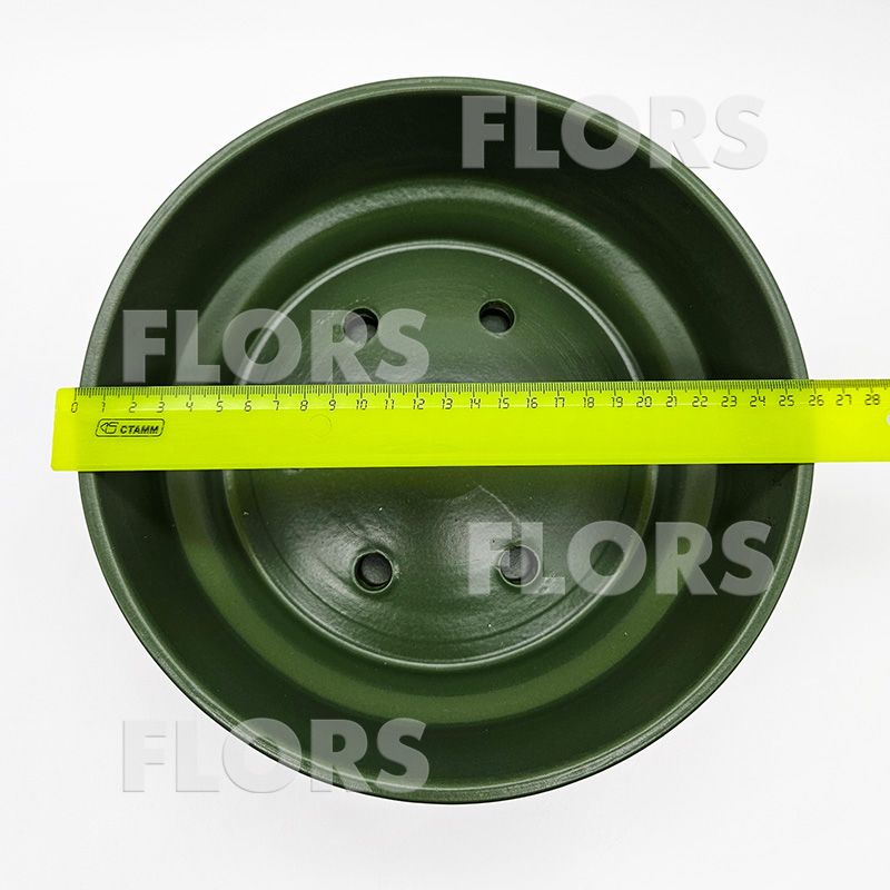 Бонсайница Колор зеленый