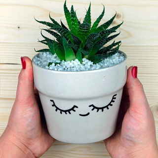 если растению плохо